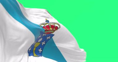 Yeşil arka planda izole edilmiş Galiçya bayrağı sallanıyor. Kusursuz 3D canlandırma animasyonu. Krom anahtar. Yavaş çekim döngüsü. Yeşil ekran. 4 bin. Seçici odak