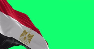 Yeşil arka planda Mısır bayrağı sallanıyor. Kusursuz 3D canlandırma animasyonu. Krom anahtar. Yavaş çekim döngüsü. Yeşil ekran. 4 bin. Seçici odak