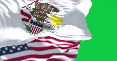 Illinois ve ABD bayrakları yeşil arka planda yalıtılmış olarak birlikte dalgalanıyor. Kusursuz 3D canlandırma animasyonu. Krom anahtar. Yavaş çekim döngüsü. Yeşil ekran. 4 bin. Seçici odak