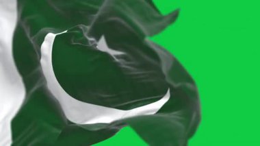 Yeşil arka planda izole edilmiş Pakistan bayrağı dalgalanıyor. Kusursuz 3D canlandırma animasyonu. Krom anahtar. Yavaş çekim döngüsü. Yeşil ekran. 4 bin. Seçici odak