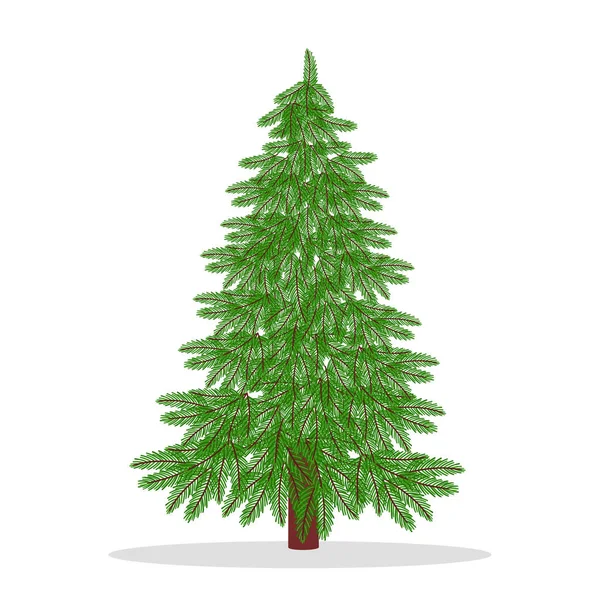 Kerstboom Witte Achtergrond — Stockfoto