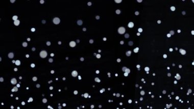 Karanlık bir arkaplanda odaklanmış beyaz bokeh