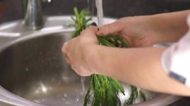 Kadın elleri akan suyun altında dereotu yıkar.