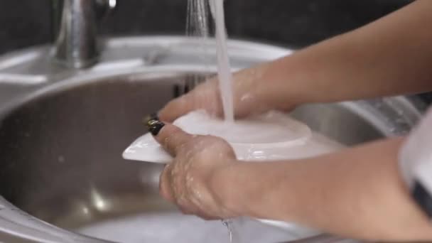 Female Hands Wash White Plate Foam Running Water — Vídeo de Stock