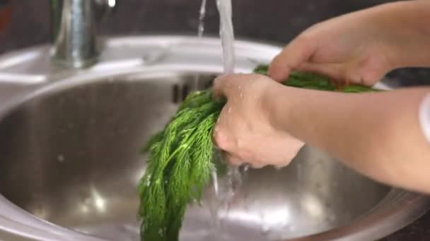 Female Hands Wash Dill Running Water — Stock videók