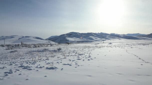 Snöiga Vinterberg Närbild — Stockvideo