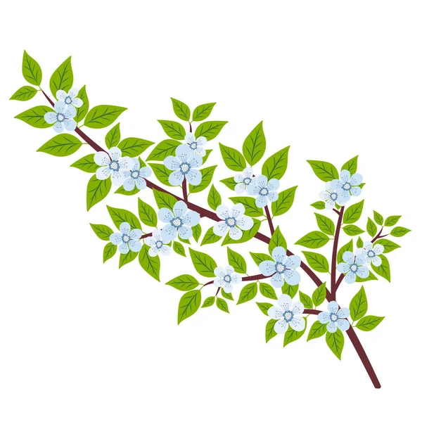 Liść Roślina Gałąź Drzewo Natura Wiosna Liście Kwiat Liście Wzrost — Zdjęcie stockowe