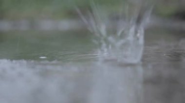 Su birikintilerinde yağmur damlaları ve damlaları