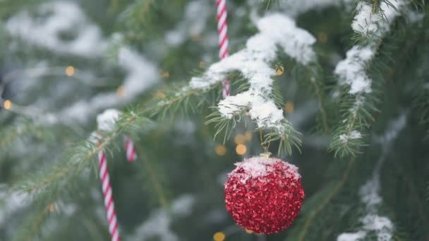 Auf Weihnachtsbäumen Mit Schneeroten Ornamenten Und Bokeh Girlanden — Stockvideo