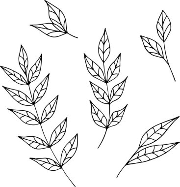 El yapımı yapraklar, vektör