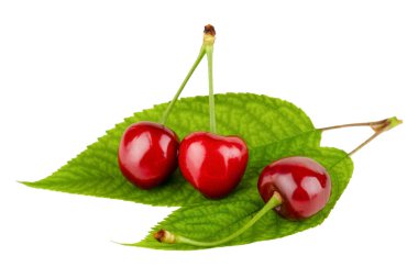 Beyaz arkaplanda yapraklı kirazlar.