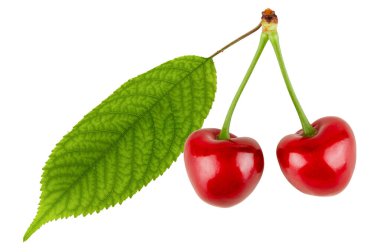 Beyaz arkaplanda yapraklı kirazlar.