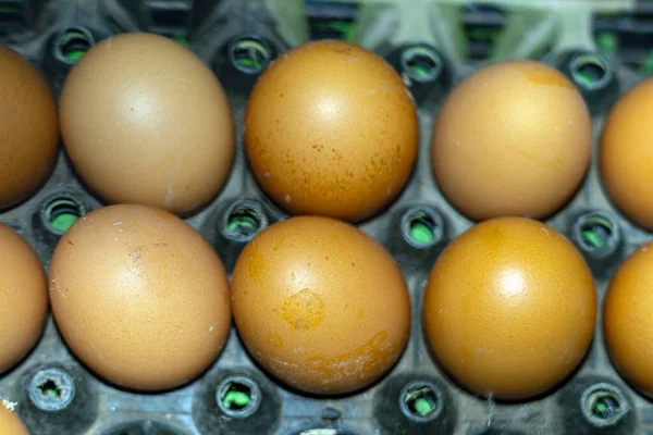 Single eggs are a natural source of many nutrients including high-quality protein, vitamins, and minerals. Eggs are packed full of high-quality protein
