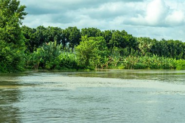 Yazın mavi gökyüzü güzel köyleri bulutlandırıyor. Yeşil tarlaları, mavi gökyüzü, bulutlar, nehir, göl suyu olan harika bir bahar köyü. Yeşil köy ve göl manzarası