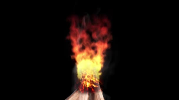ファイヤーウッドはゆっくりと燃え 煙はほとんどない それは熱およびコイラを作るきれいな火です — ストック動画