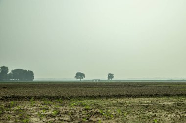 Öğleden sonra sahnesi. Tarım arazisi, ya ekilebilir, ya kalıcı ekinlerin altında ya da kalıcı otlakların altında olan araziyi ifade eder.