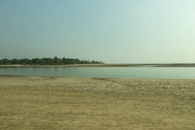 Sisli bir gökyüzünün altında yapraksız ağaç siluetleriyle lekelenmiş kuru bir toprak parçası ıssız sahneyi keserek kuraklığı ve çürümeyi çağrıştırıyor.