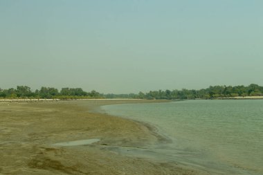 Geniş gel-git düzlükleri, yumuşak dalgaları ve gür mangrovlar tarafından çerçevelenmiş kumlu kıyıları olan sakin bir sahil manzarası, sakin deniz ve estuarin yaşamını yansıtıyor.