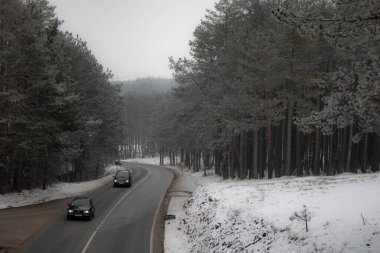 Taze karla kaplı Zlatibor çarpıcı bir kış manzarası yaratıyor. Karlı çam ormanları, yuvarlanan tepeler ve kıtır kıtır dağ havası burayı doğa severler, fotoğrafçılar ve dinginlik ve macera arayan açık hava meraklıları için mükemmel bir yer yapıyor..