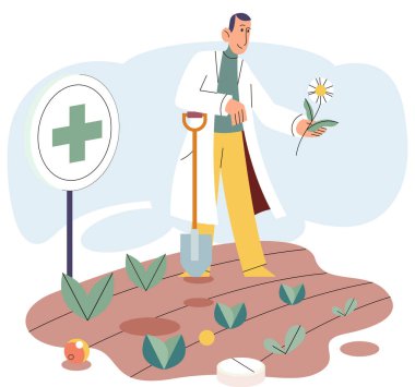 Bitkisel ilaçlar ve homeopati sağlık ve sağlık hizmetleri. Bilimadamı bahçe yatağında lahanaları toplayan tıbbi bitkiler yetiştiriyor. Organik tedavi ve aromaterapi. Yeşil doğal eczacılık malzemeleri.