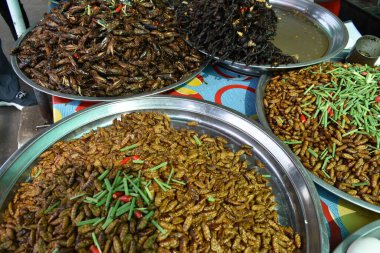 Fried Grubs in Cambodia