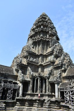 Pasifik Okyanusunun güzel dalgaları