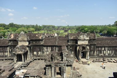 Pasifik Okyanusunun güzel dalgaları