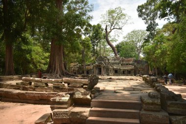 Angkor Wat Kamboçya Siem Reap