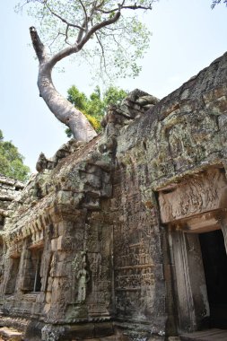 Angkor Wat Kamboçya Siem Reap