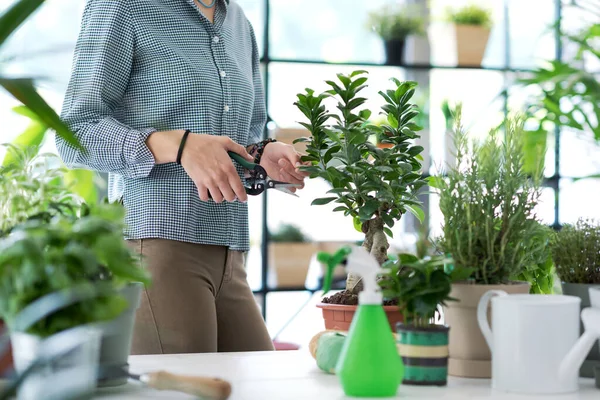 Young Woman Gardening Home She Taking Care Bonsai Plant Hobby — Stock Photo, Image