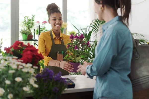 Jonge Vrouw Koopt Een Bloeiende Plant Bloemenwinkel Bloemist Heeft Een — Stockfoto