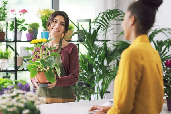 Jovem Mulher Comprando Uma Planta Com Flores Loja Flores Florista — Fotografia de Stock