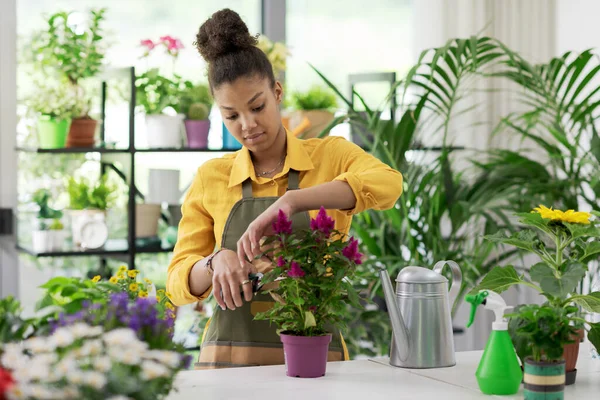 Young African American Woman Working Her Flower Shop Small Business — Stock Photo, Image