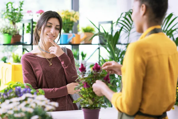 Jonge Vrouw Koopt Een Bloeiende Plant Bloemenwinkel Kijkt Naar Plant — Stockfoto