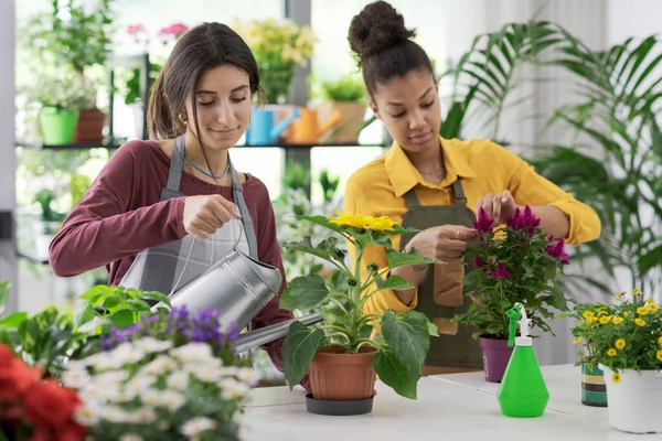 Young Female Florists Working Together Flower Shop Small Business Entrepreneurship — Stock Photo, Image