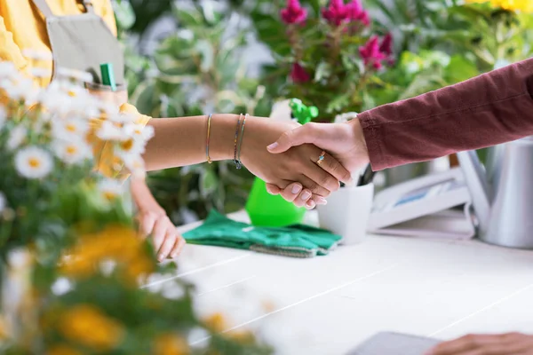Florist Customer Shaking Hands Plant Shop Hands Close — Stock Photo, Image