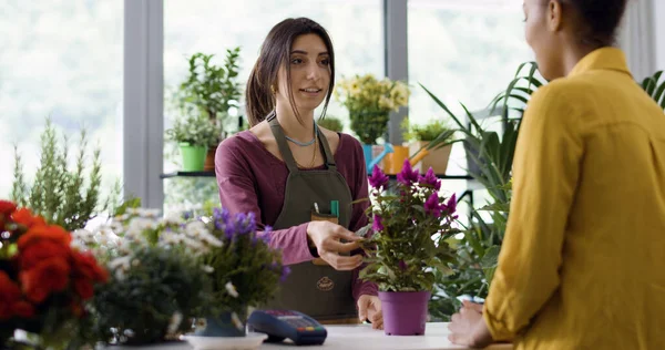 Jonge Ondernemer Werkzaam Haar Bloemenwinkel Verkoopt Een Bloeiende Plant Aan — Stockfoto