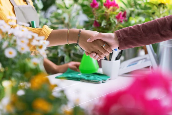 Florist Customer Shaking Hands Plant Shop Hands Close — Stock Photo, Image