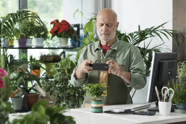 Профессиональный Флорист Фотографирует Растение Делится Интернете Продает Растения Интернете — стоковое фото