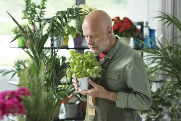专业园艺师和花匠在花店照看植物 — 图库照片