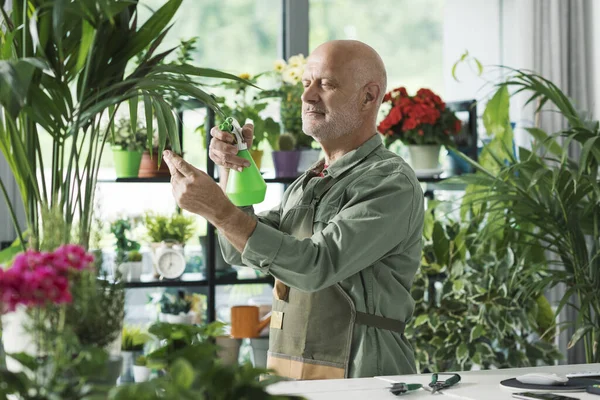 Expert Bloemist Tuinman Controleren Van Een Prachtige Weelderige Plant Zijn — Stockfoto