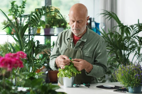 专业园艺师和花匠在花店照看他的植物 — 图库照片