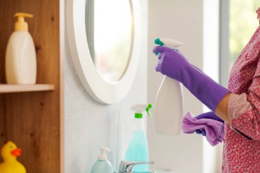 Woman cleaning the bathroom at home, she is polishing the mirror using a spray detergent clipart