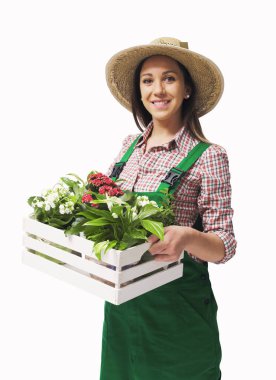 Gülümseyen bahçıvan bitkilerle dolu bir sandık gösteriyor ve beyaz arka planda izole edilmiş kameraya bakıyor.