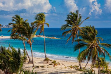 Punta Cana, Dominik Cumhuriyeti 'nin doğu kıyısında, Karayipler' de bulunan popüler bir turizm merkezidir. Muhteşem plajları ve berrak turkuaz sularıyla bilinir..
