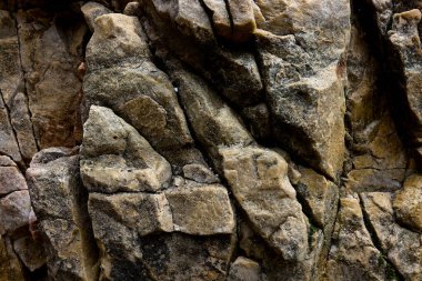 Kayalar doğal olarak minerallerden oluşan katı kümelerdir, ya da bazı durumlarda volkanik cam ya da kömür gibi mineral olmayan katı maddelerdir. Onlar Dünya kabuğunun temel birimleridir.