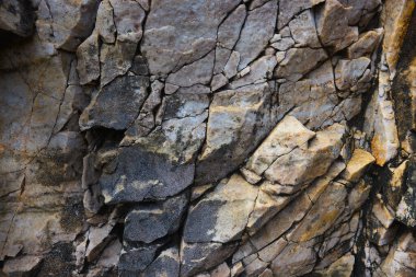 Kayalar doğal olarak minerallerden oluşan katı kümelerdir, ya da bazı durumlarda volkanik cam ya da kömür gibi mineral olmayan katı maddelerdir. Onlar Dünya kabuğunun temel birimleridir.