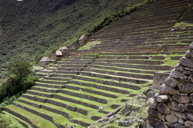 And Dağları 'nın tepelerine tünemiş Machu Picchu İnka medeniyetinin görkeminin bir kanıtı olarak duruyor. Sisli tepeler ve yemyeşil yeşilliklerle çevrili bu antik harikalar saygı ve saygı uyandırır.