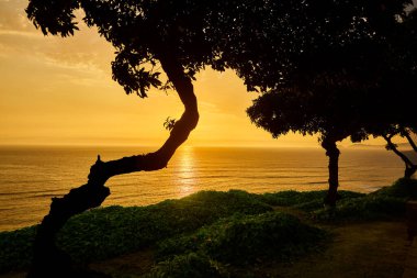 Aşk gün batımının renklerine boyandı. Miraflores 'te sihirli bir an, okyanusun gökyüzüyle buluştuğu ve kalplerin tek yürek olarak attığı. Lima Peru.