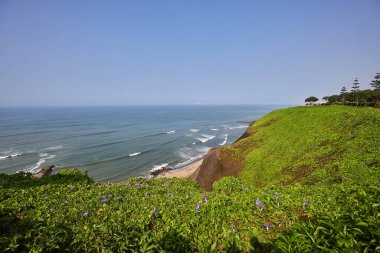 Malecn Miraflores 'in çarpıcı görüntüsü La Costa Verde' nin özünü yakalıyor. Doğanın canlı şehir enerjisiyle buluştuğu yer Miraflores Lima Peru.
